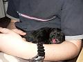 2007-10-28-bild-06-satt-muede-zufrieden