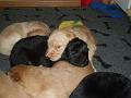 2007-11-17-bild-03-wir-kuscheln